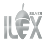 logo site